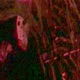 h4lloween Single