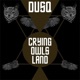 Crying Owls Land Single