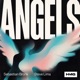 Angels Single