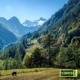 Mountain Man Single