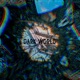 Dark World Single