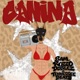 Canina Single