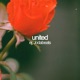 United Single