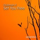 Set You Free Single