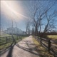 Cross the Yard Single