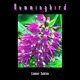 Hummingbird Single