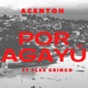 Por Agayú feat Flex Gringo Single