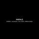 Ándale Single