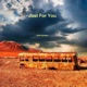 Just for You feat Bryan K Williamson Single