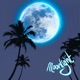 Moonlight Single feat Tallpree Single
