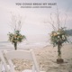 You Could Break My Heart feat Lauren Weintraub Single