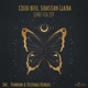 Hunch Pumbum Remix Single