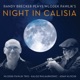 Night in Calisia feat Wlodek Pawlik Trio Kalisz Philharmonic Orchestra Adam Klocek