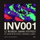 INV001 12 WORDS 30000 STONES feat Arthur Mutanen Chediak adieu Single