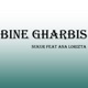 Bine Gharbis Single