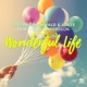 Wonderful Life feat Pearl Andersson Remixes