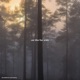 on the far side Single