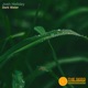 Dark Water Single