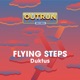Flying Steps Single