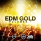 EDM Gold Vol 1
