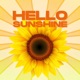Hello Sunshine feat Rivizion Single