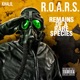 R O A R S