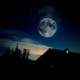 A LA LUNA Single