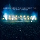 The Magnificent Tree Live With Strings