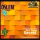 Secret Single
