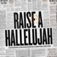 Raise a Hallelujah Studio Version Single