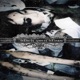 black vein blues EP