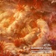 Summer s Young Kill Paris Remix feat Dia Frampton Single