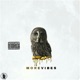 More Vibes EP
