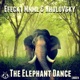 The Elephant Dance Single