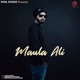 Maula Ali Single