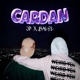 CARDAN Single