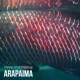 Arapaima Single