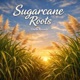 Sugarcane Roots Single
