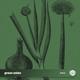 Green Onion Single