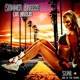 Summer Breeze Los Angeles feat Suni Single
