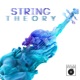 String Theory