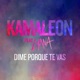 Dime Porque Te Vas feat Lyana Single