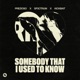 Somebody That I Used To Know Extended Mix Single