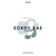 Sorry Bae Fast Single