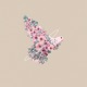 Le cantique des cantiques Single