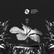 The Voice Radio Edit Single