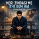 Meri Zindagi Me Itne Gum Hai Single