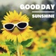 Good Day Sunshine Single