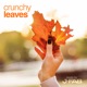 Crunchy Leaves feat Jason Fabus Brian Ward Single