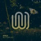 Butterflies Single